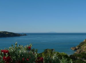 The Boatshed, Waiheke, Uusi-Seelanti